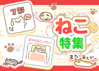 ねこ特集